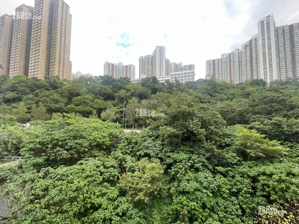 Yen Ching Building Sell 2 Bedrooms , 1 Bathroom 262 ft²