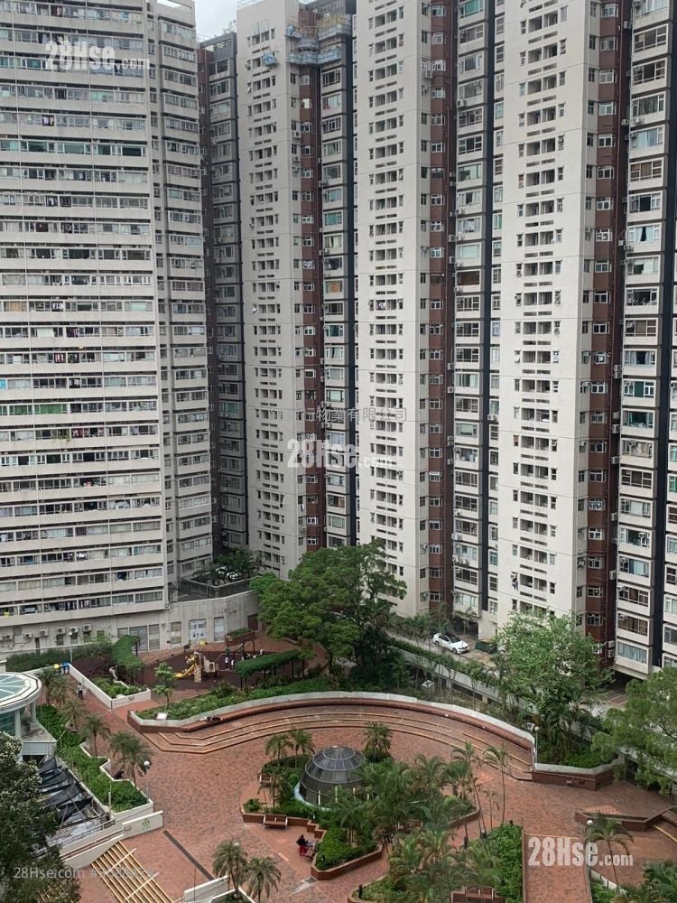 Ngan Fai  Building Rental 2 Bedrooms , 1 Bathroom 333 ft²