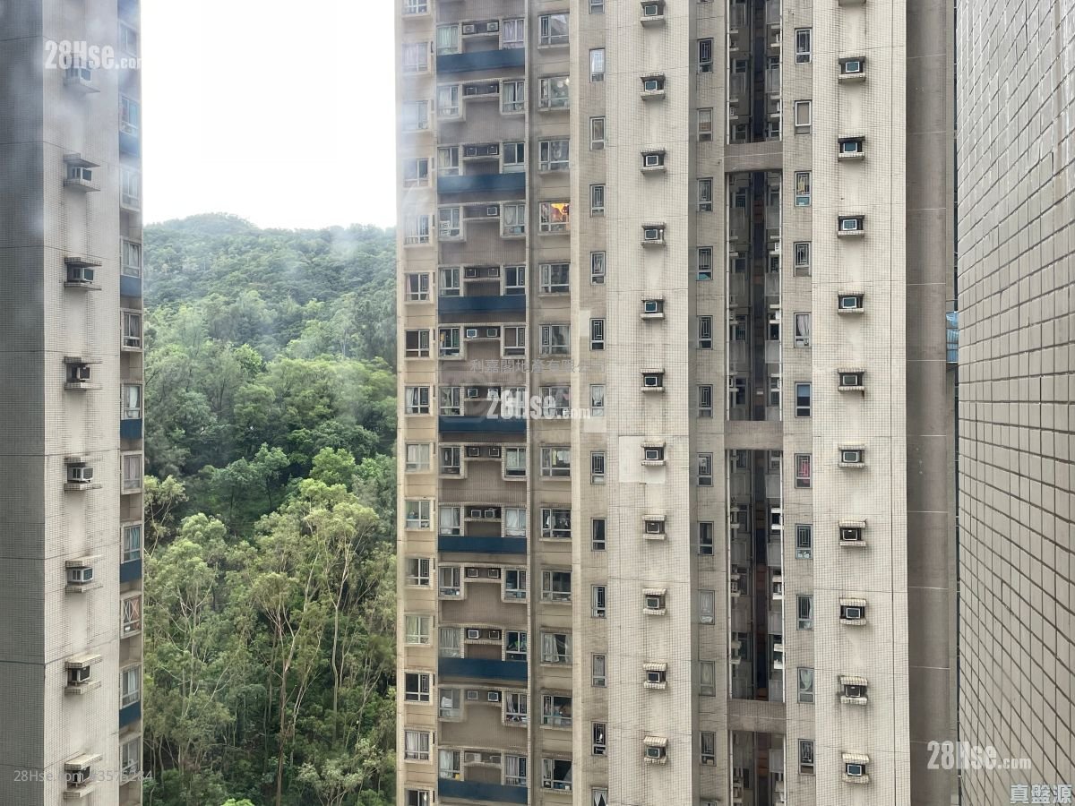 怡心园 售盘 2 房 , 1 浴室 497 平方尺 怡心园 售盘 2 房 , 1 浴室 497 平方尺