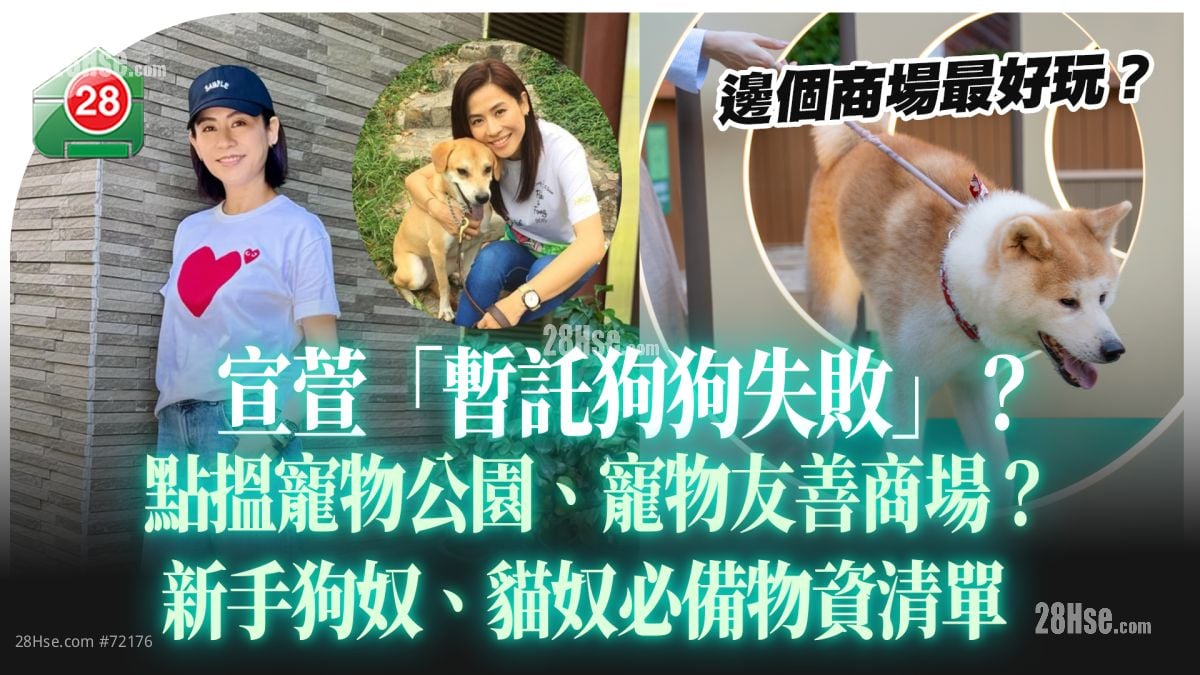 宣萱「暫託狗狗失敗」？｜點搵寵物公園、寵物友善商場？｜新手狗奴、貓奴必備物資清單