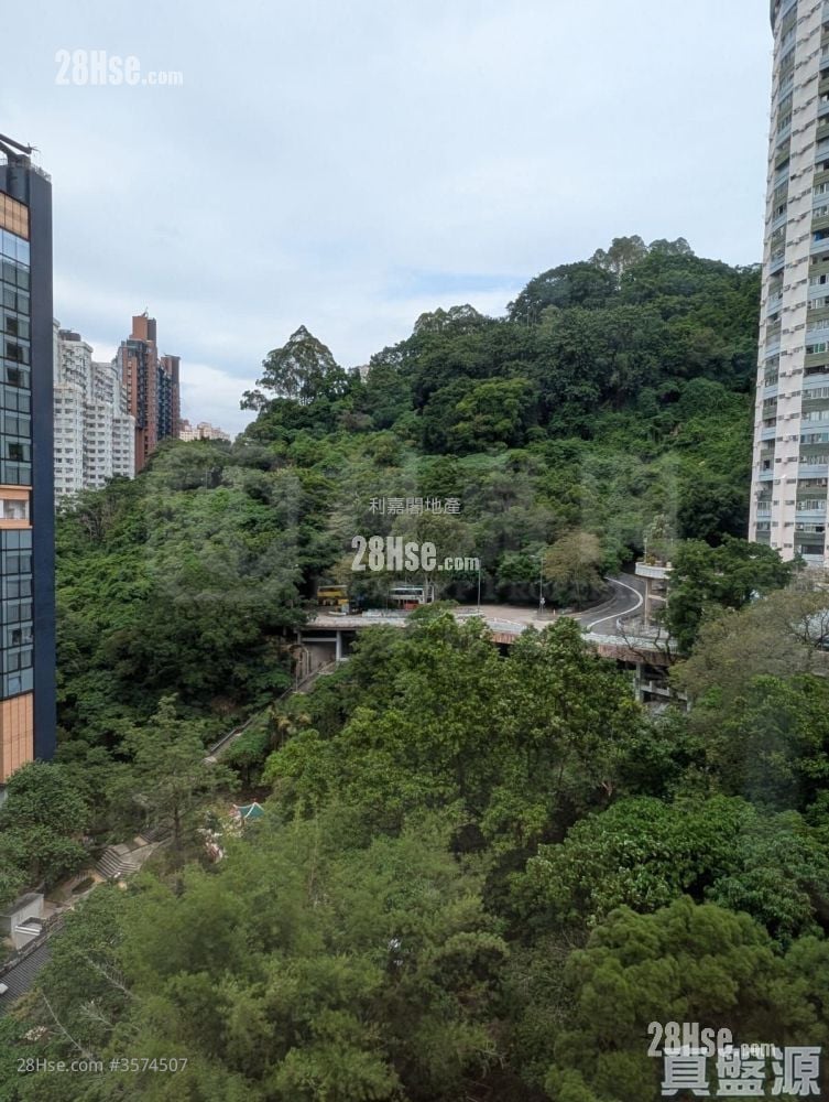 龙涛苑 租盘 2 房 , 1 浴室 515 平方尺