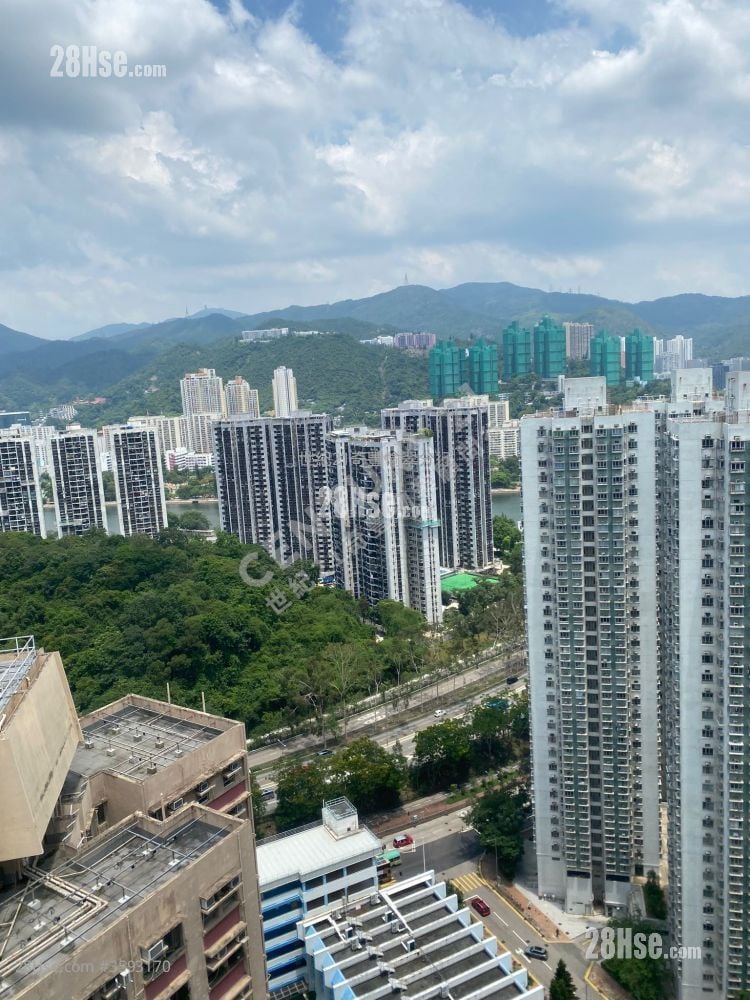 Sunshine Grove Sell 1 Bedroom , 1 Bathroom 477 ft²