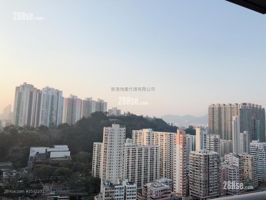 环海东岸 租盘 开放式间隔 , 1 浴室 228 平方尺