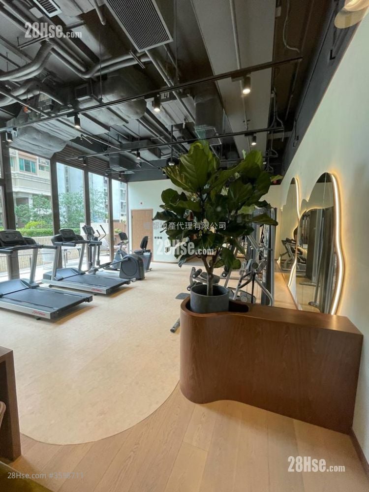 Mangrove Rental 1 Bedroom , 1 Bathroom 250 ft² Mangrove Rental 1 Bedroom , 1 Bathroom 250 ft²