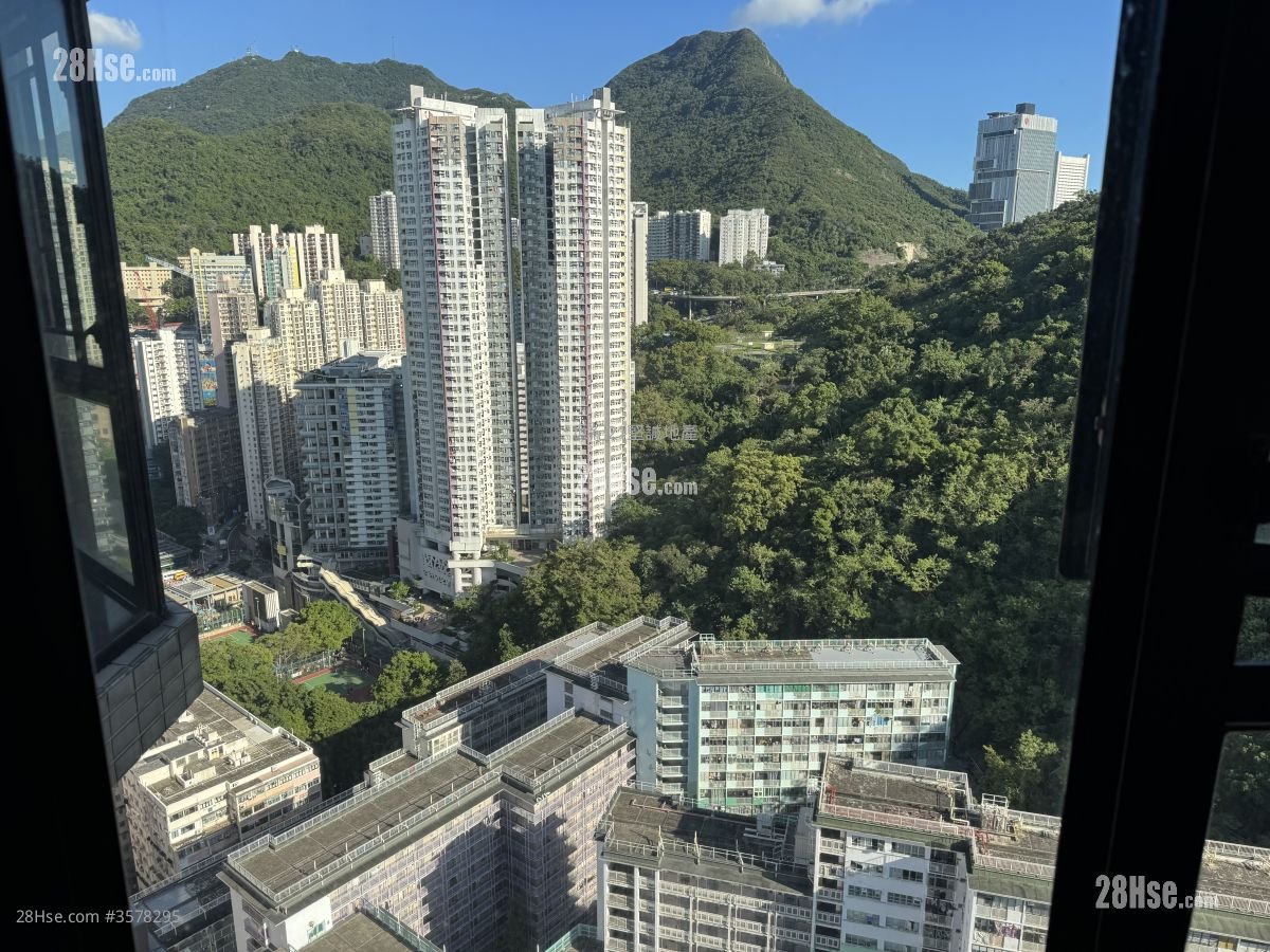 Cayman Rise Rental 2 Bedrooms , 1 Bathroom 505 ft²