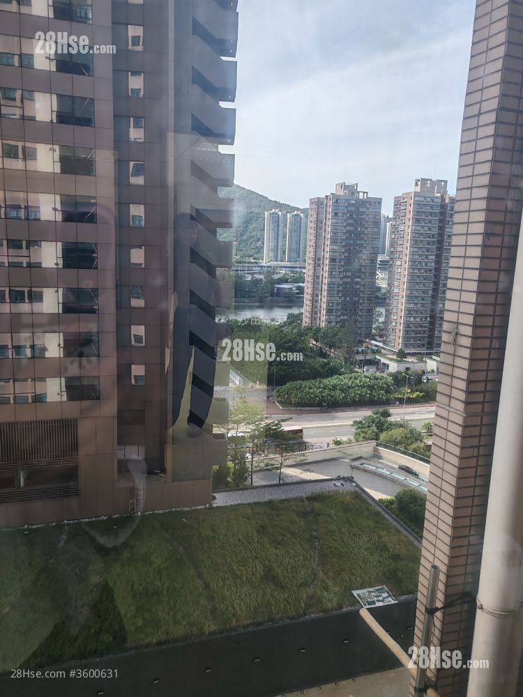 新贸中心 租盘