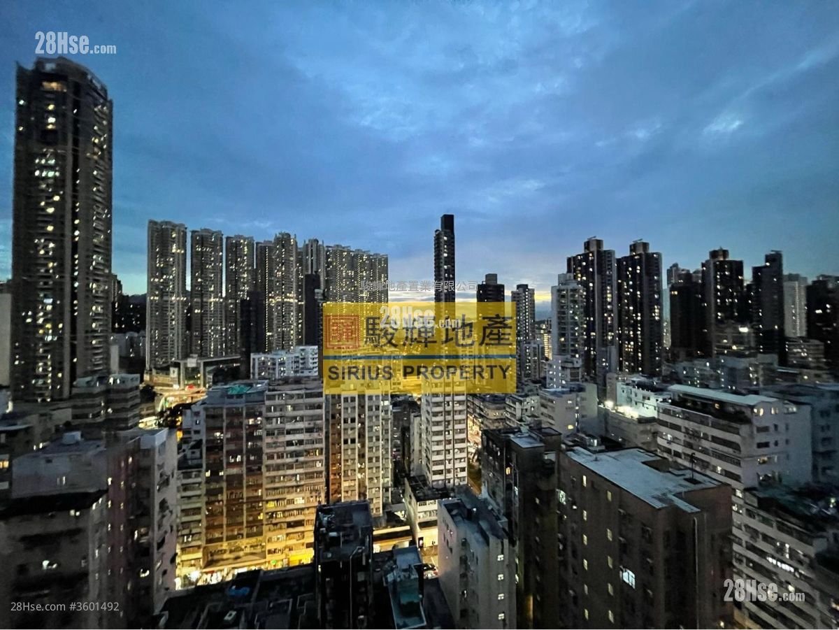 Ava228 Rental 239 ft² Ava228 Rental 239 ft²