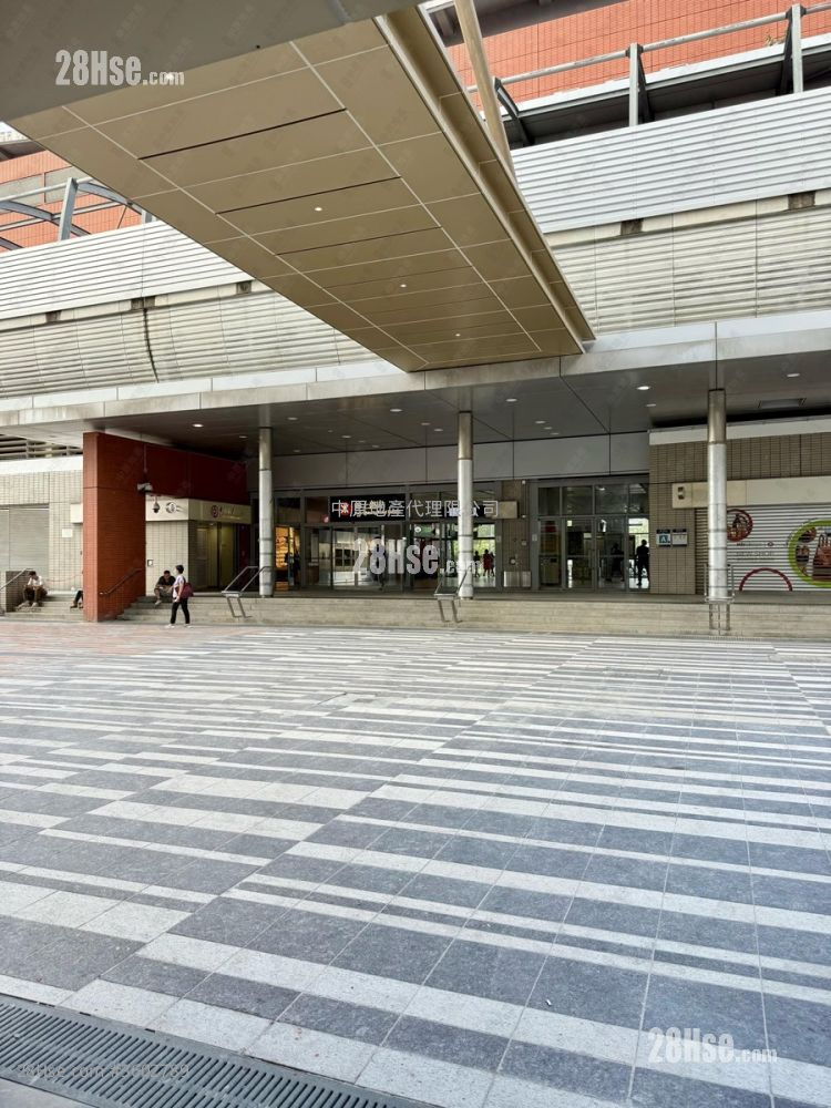 柏珑 售盘 1 房 339 平方尺 柏珑 售盘 1 房 339 平方尺