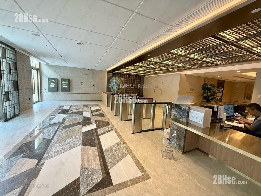 柏珑 售盘 1 房 339 平方尺 柏珑 售盘 1 房 339 平方尺