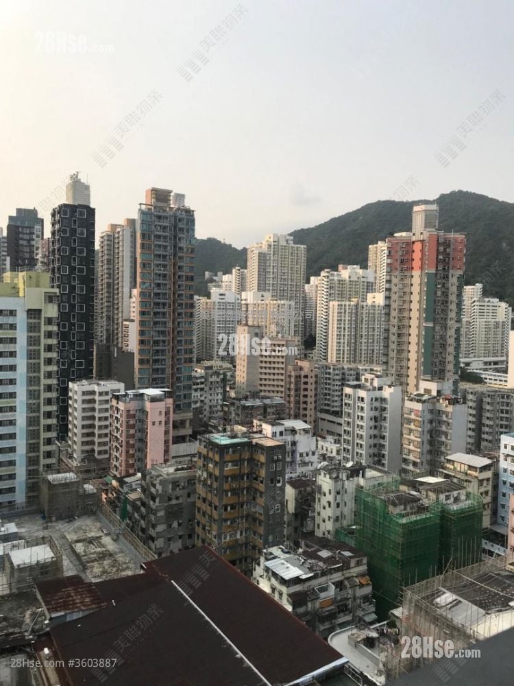 睿峰 租盤 2 房 , 1 浴室 435 平方呎 睿峰 租盤 2 房 , 1 浴室 435 平方呎