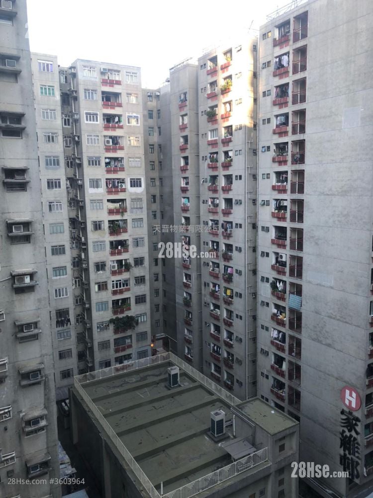 富業大廈 租盤 2 房 , 1 浴室 293 平方呎