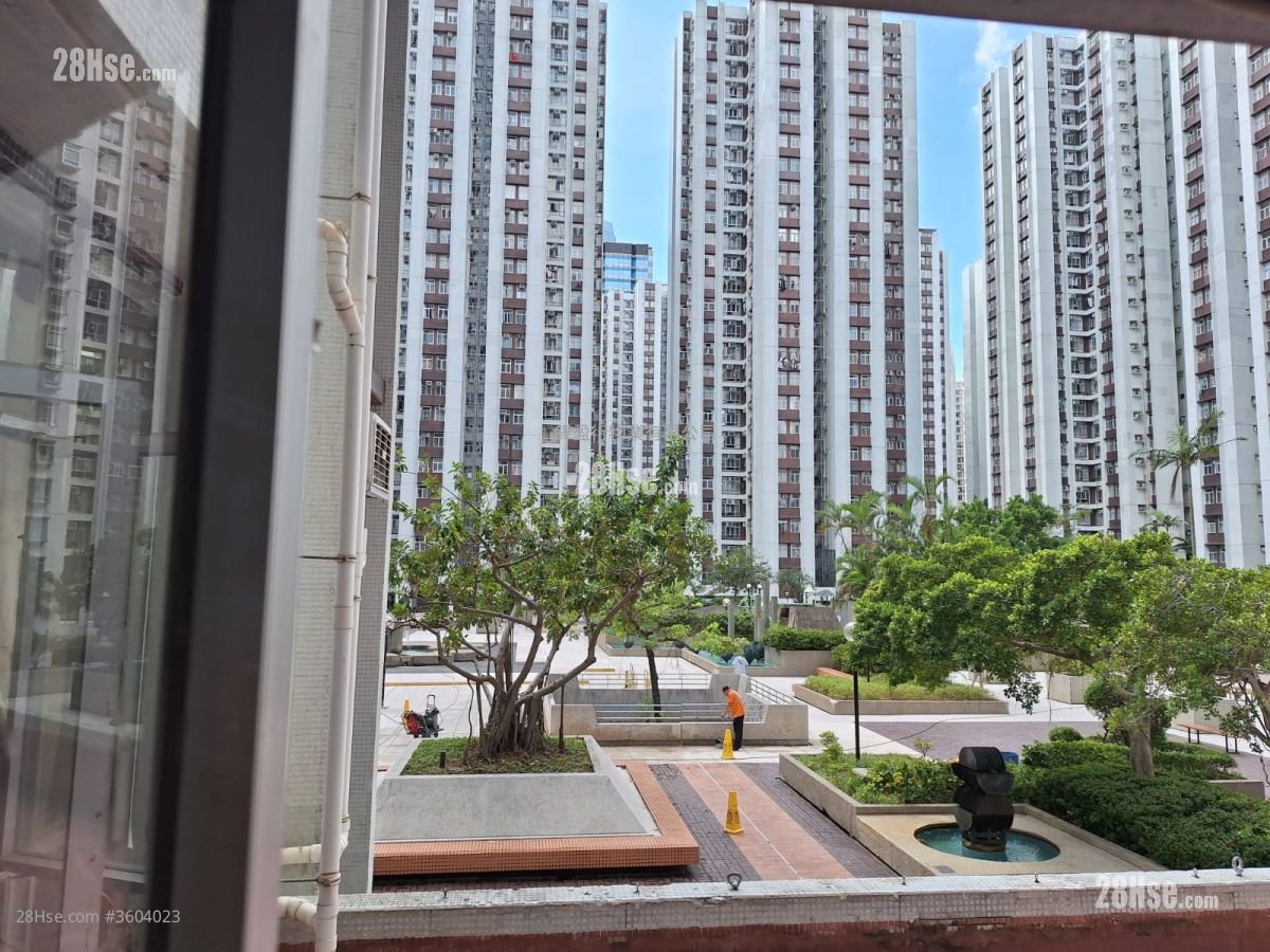 太古城 租盘 3 房 , 1 浴室 582 平方尺 太古城 租盘 3 房 , 1 浴室 582 平方尺