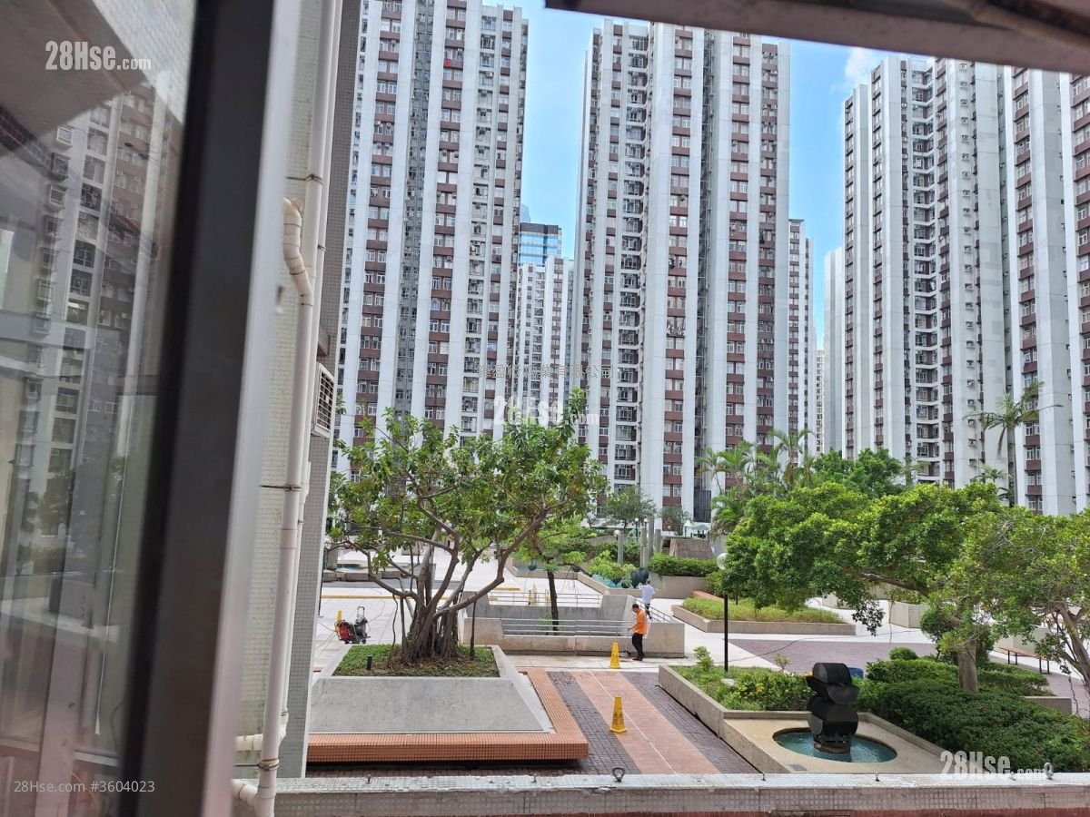 太古城 租盘 3 房 , 1 浴室 582 平方尺 太古城 租盘 3 房 , 1 浴室 582 平方尺