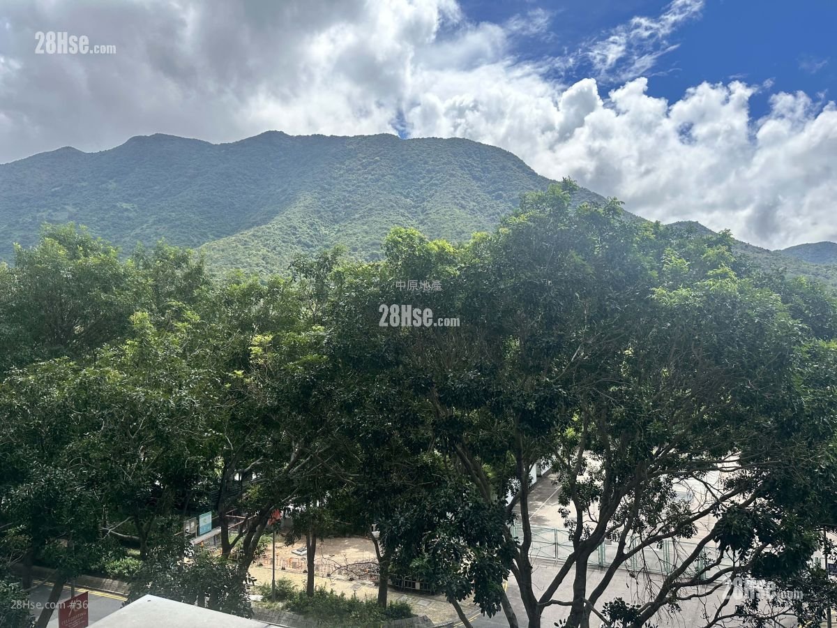 藍天海岸 售盤 2 房 490 平方呎