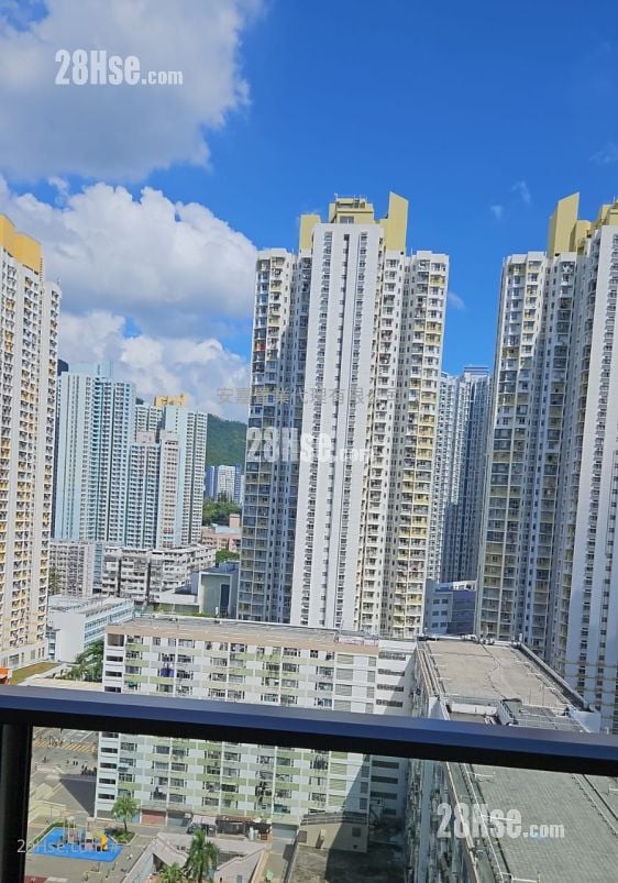 Belgravia Place 租盤 1 房 264 平方呎 Belgravia Place 租盤 1 房 264 平方呎