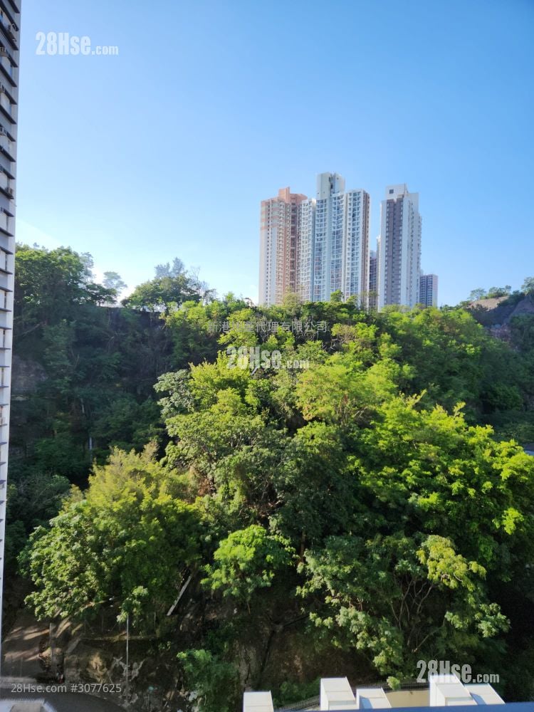 高山18 租盘 开放式间隔 , 1 浴室 225 平方尺