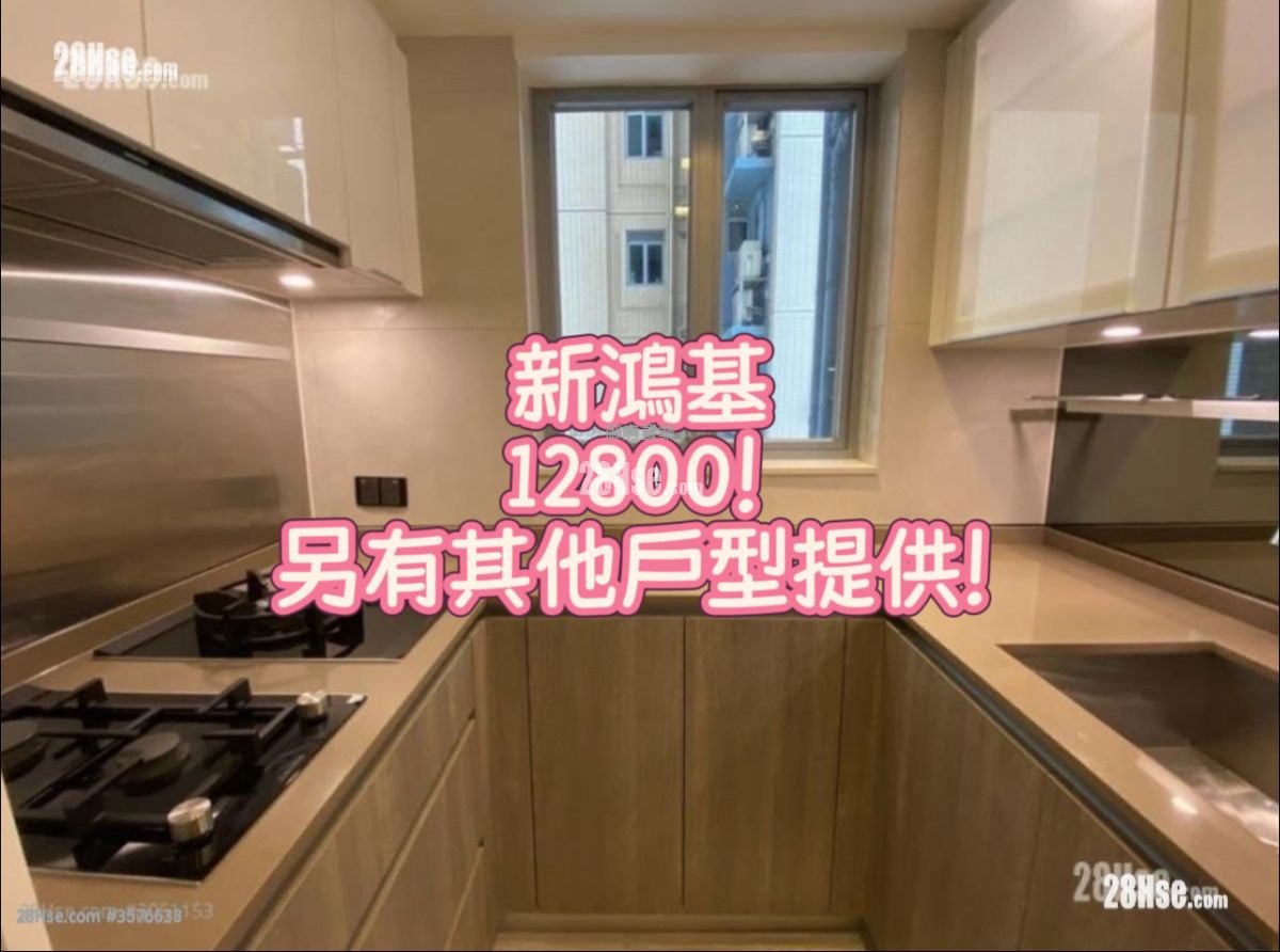 峻巒 租盤 520 平方呎