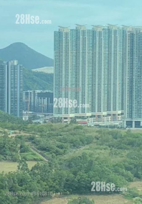 清水湾半岛 售盘 3 房 608 平方尺