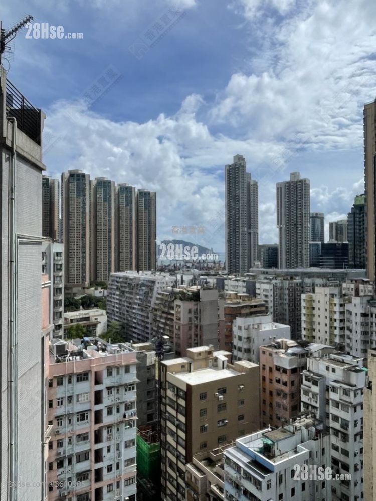 Lime Stardom Rental 1 Bedroom , 1 Bathroom 338 ft² Lime Stardom Rental 1 Bedroom , 1 Bathroom 338 ft²