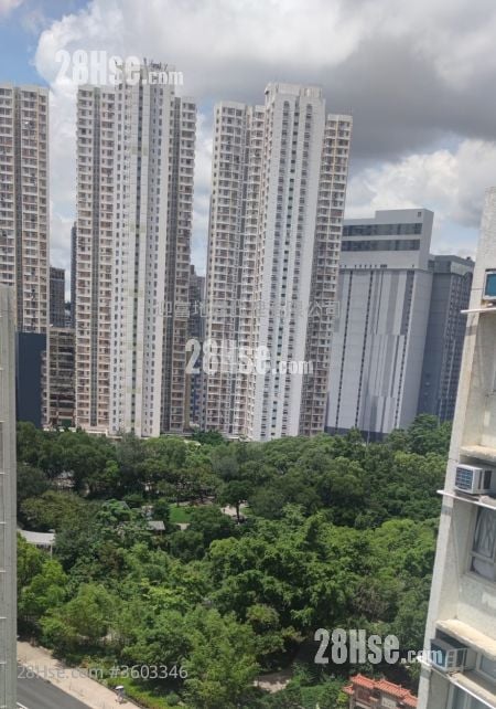 Whampoa Garden Sell 3 Bedrooms , 2 Bathrooms 729 ft²