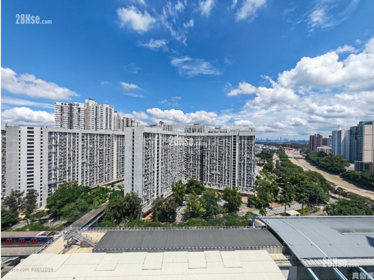 富來花園 售盤 1 房 283 平方呎