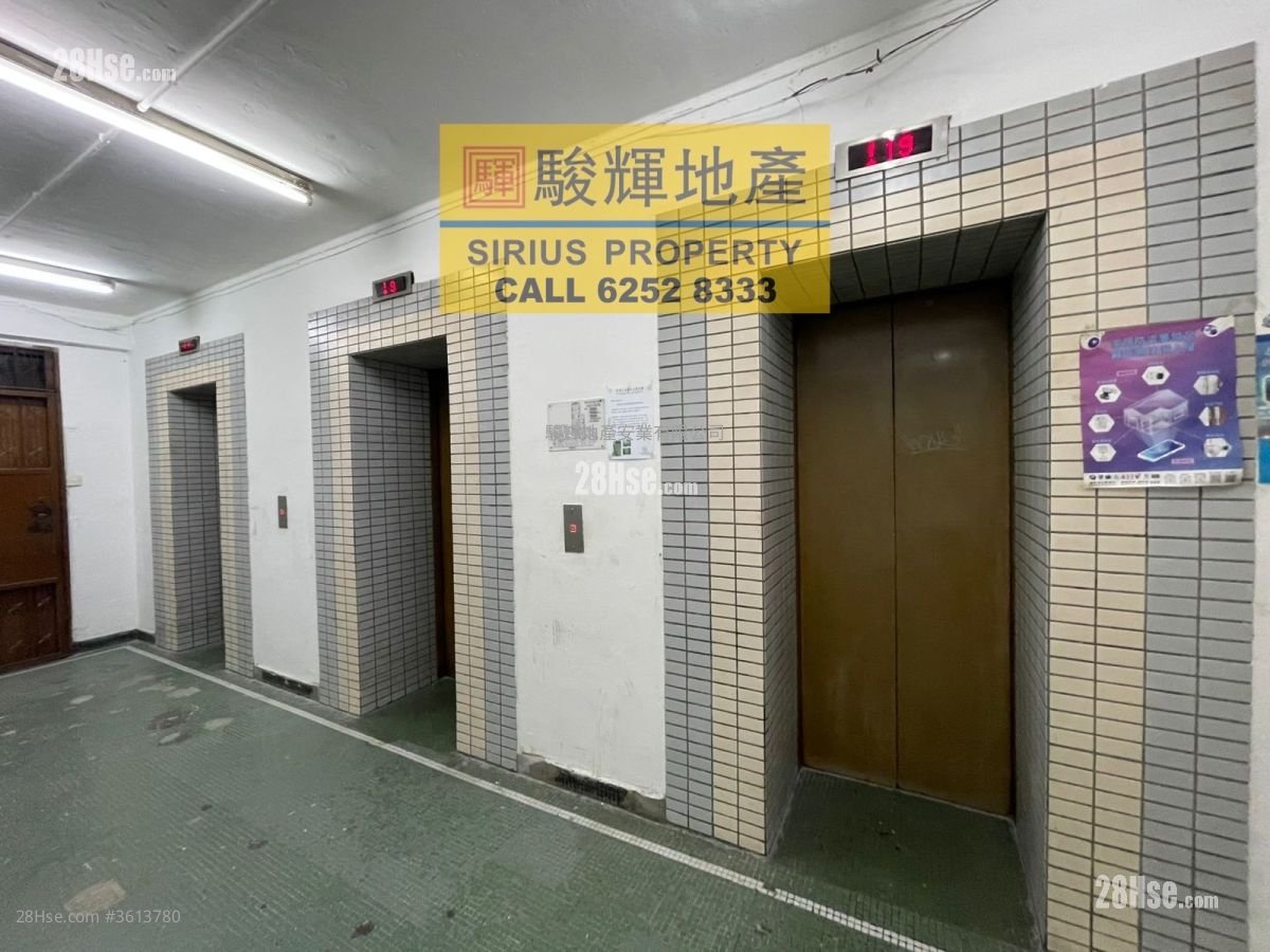 新興大廈 租盤 250 平方呎 新興大廈 租盤 250 平方呎