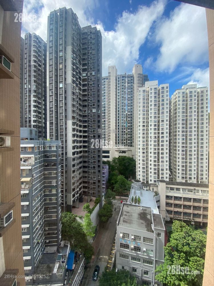 怡景花園 售盤 怡景花園 售盤