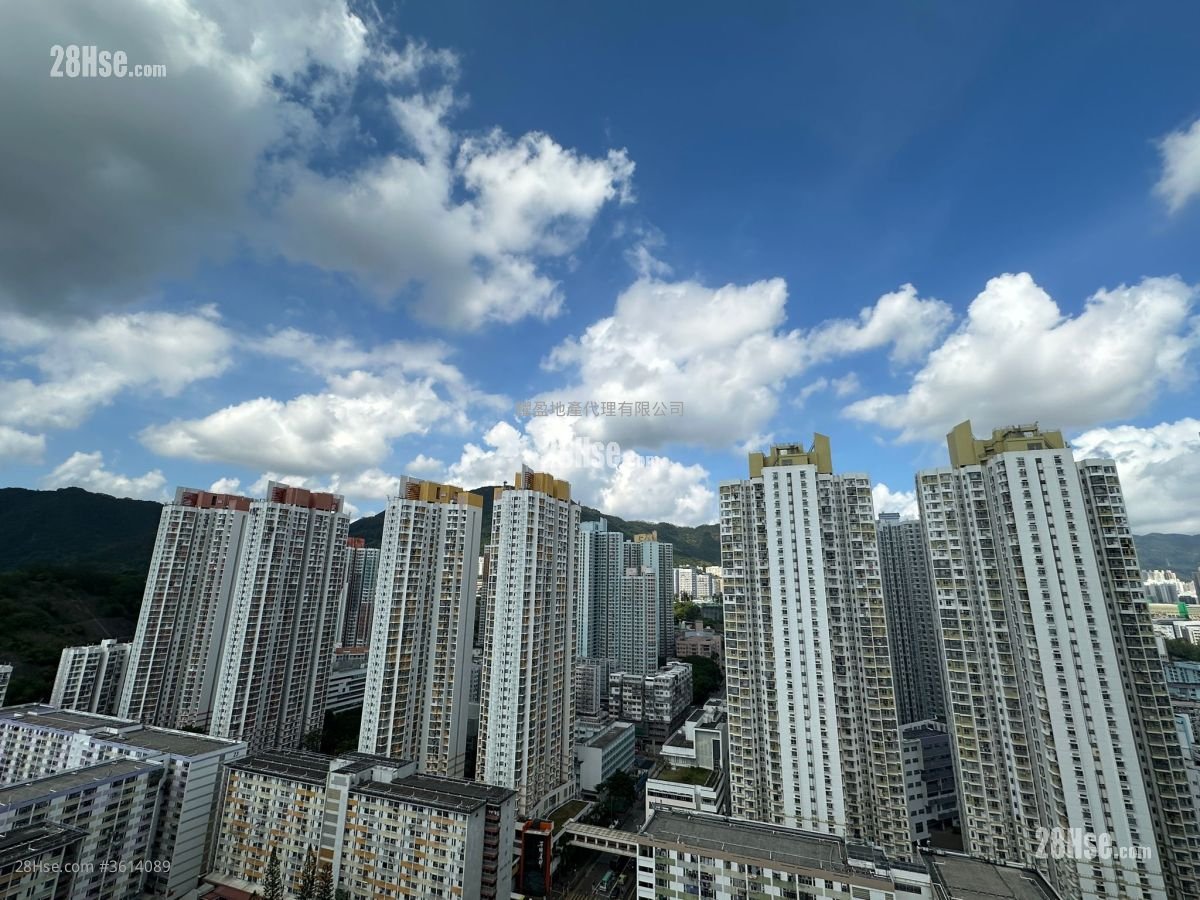 Belgravia Place 租盘 1 房 , 1 浴室 264 平方尺 Belgravia Place 租盘 1 房 , 1 浴室 264 平方尺