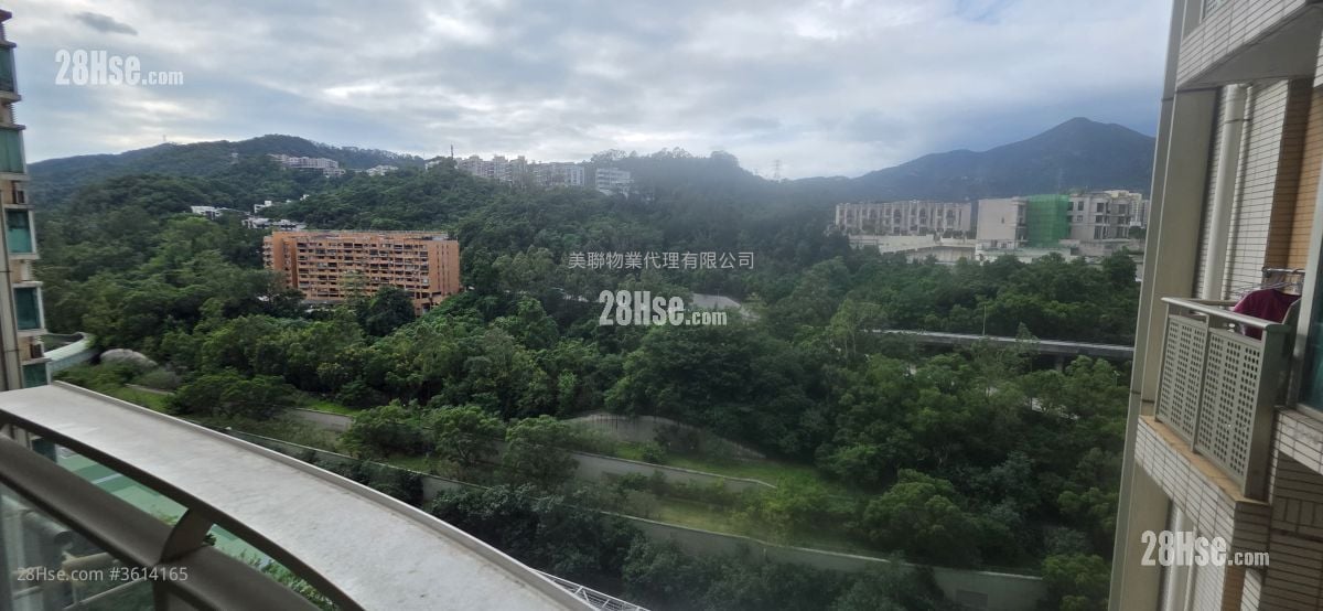 Festival City Sell 4 Bedrooms 958 ft²