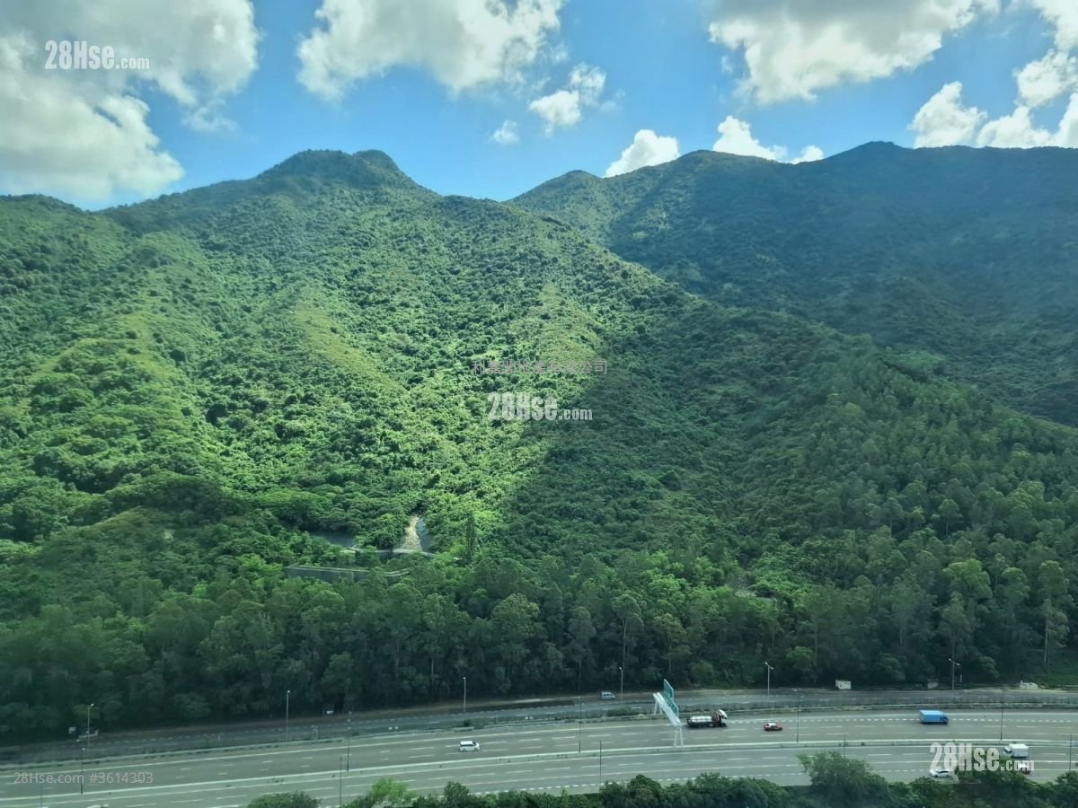 Caribbean Coast Sell 2 Bedrooms , 1 Bathroom 471 ft² Caribbean Coast Sell 2 Bedrooms , 1 Bathroom 471 ft²