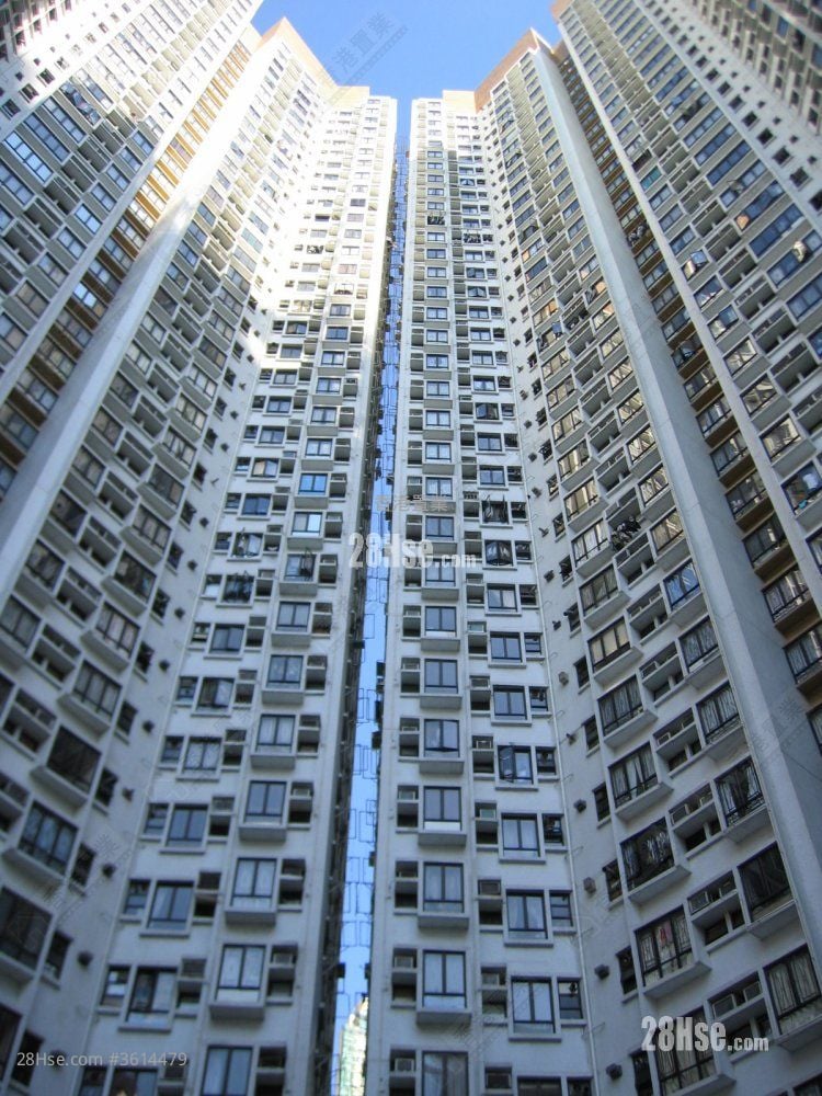 康澤花園 售盤 2 房 , 1 浴室 532 平方呎 康澤花園 售盤 2 房 , 1 浴室 532 平方呎