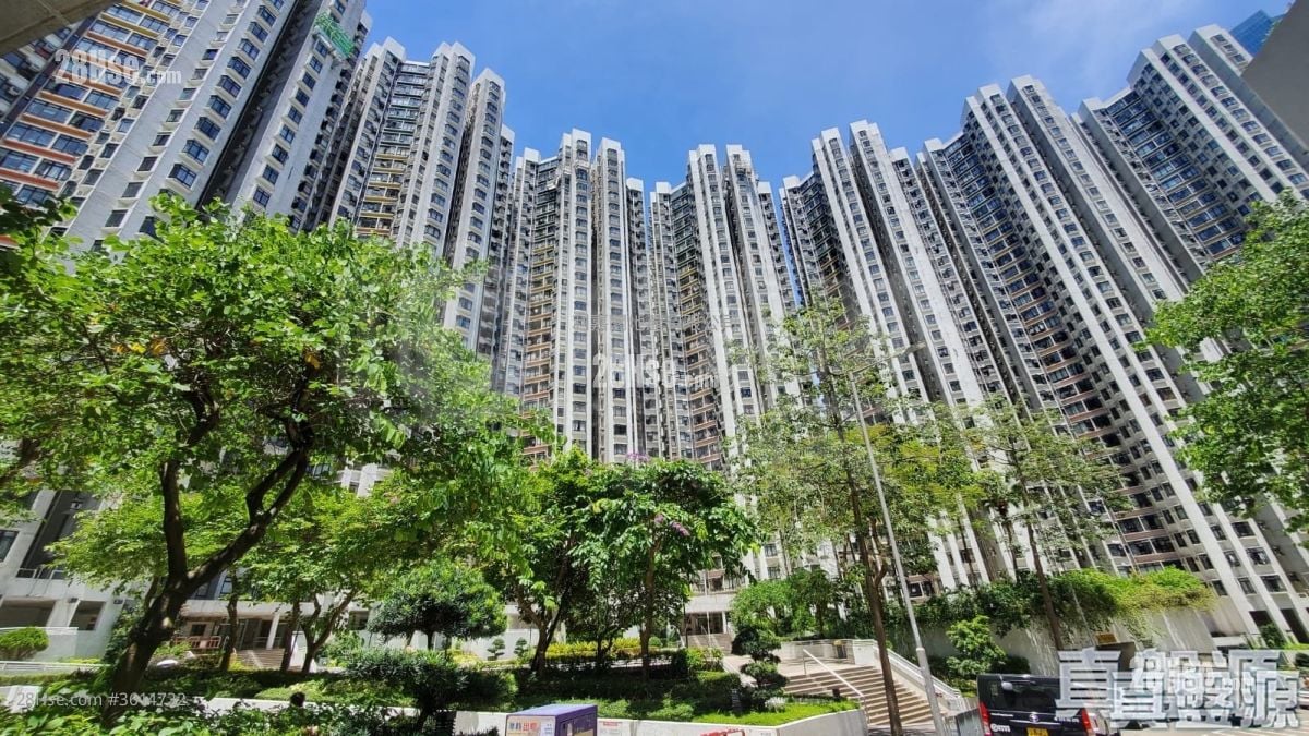 康怡花园 售盘 3 房 616 平方尺 康怡花园 售盘 3 房 616 平方尺