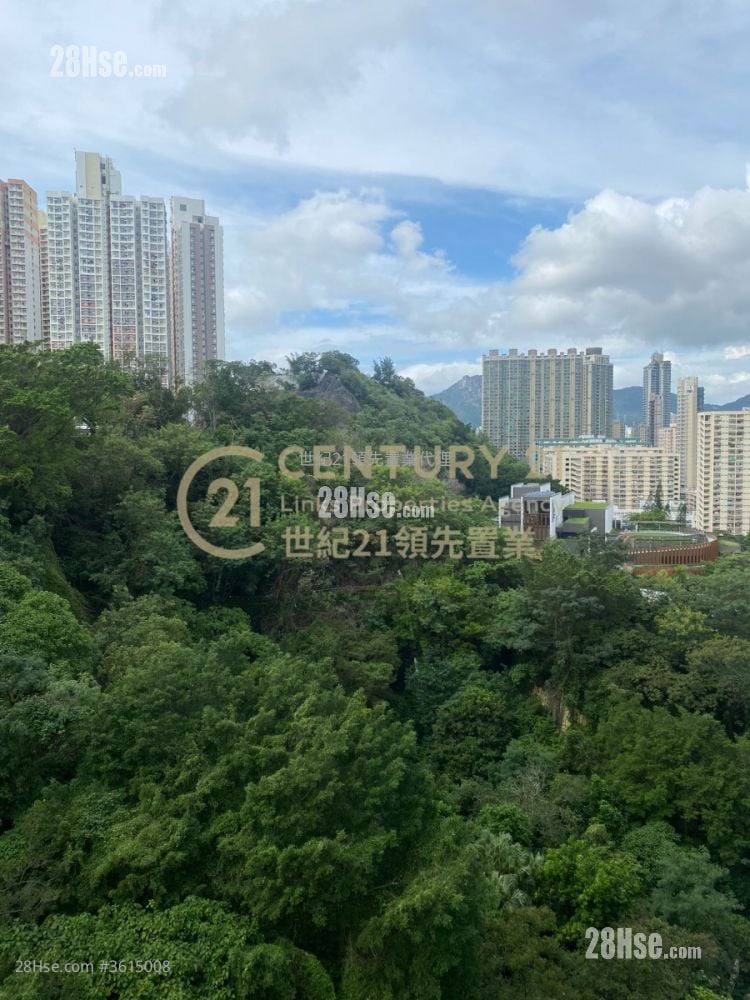 Homantin Hillside Rental 5+ Bedrooms , 4 Bathrooms 1,257 ft² Homantin Hillside Rental 5+ Bedrooms , 4 Bathrooms 1,257 ft²