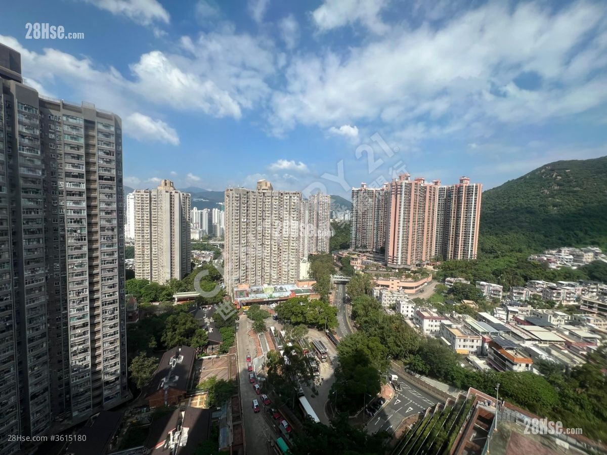 广林苑 售盘 543 平方尺