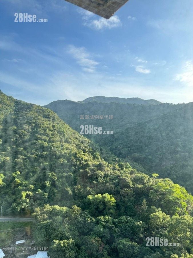 Hong Lam Court Sell 4 Bedrooms , 1 Bathroom 645 ft² Hong Lam Court Sell 4 Bedrooms , 1 Bathroom 645 ft²