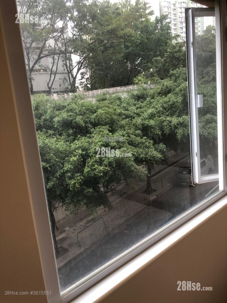 Sun Lee Building Rental 1 Bedroom , 1 Bathroom 280 ft² Sun Lee Building Rental 1 Bedroom , 1 Bathroom 280 ft²