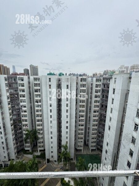 黃埔花園 售盤 2 房 503 平方呎 黃埔花園 售盤 2 房 503 平方呎