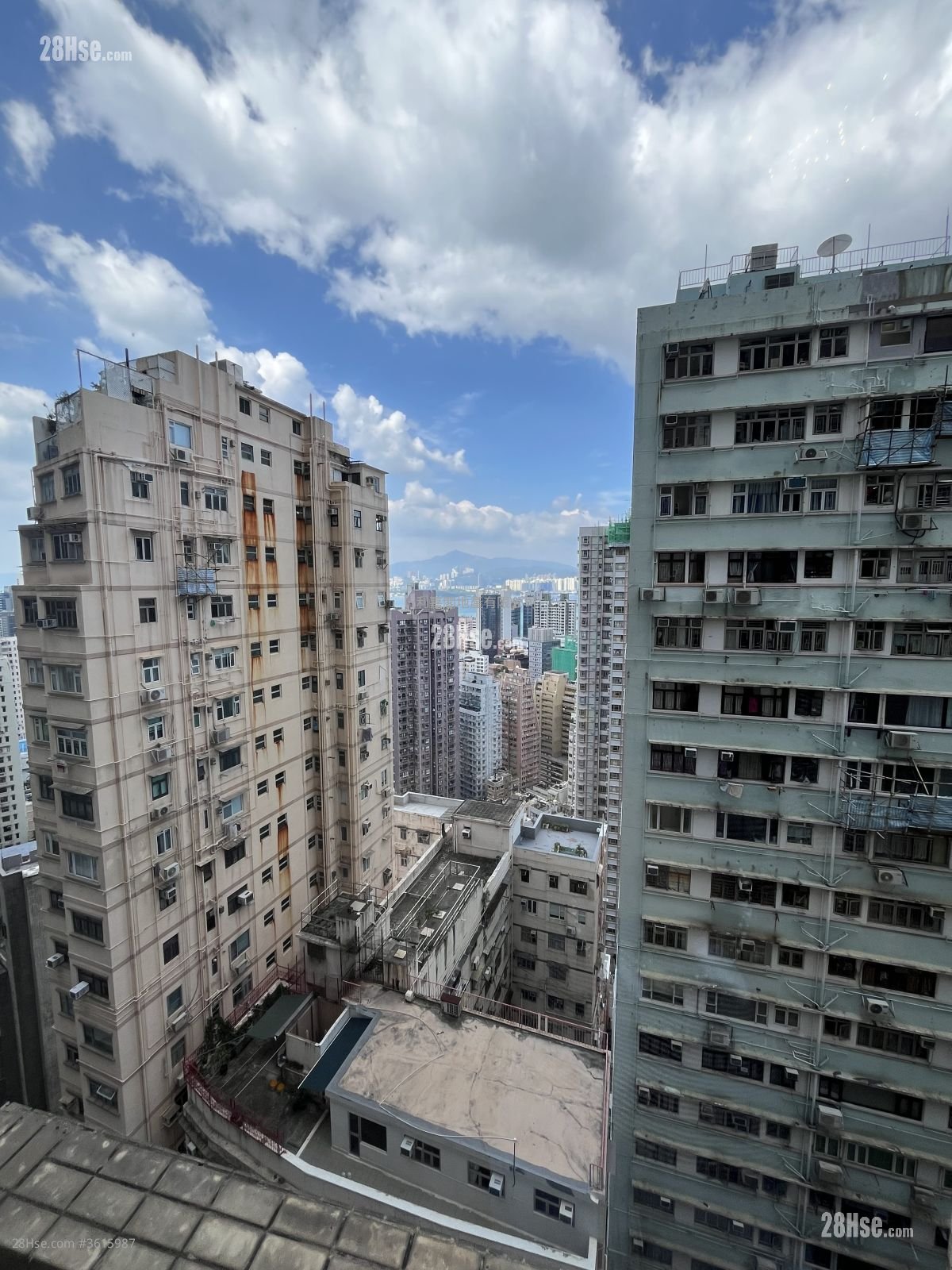 万翠花园 售盘 3 房 , 1 浴室 520 平方尺 万翠花园 售盘 3 房 , 1 浴室 520 平方尺