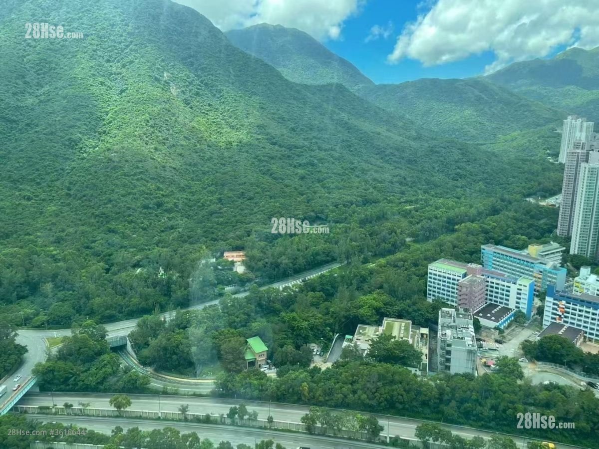 蓝天海岸 租盘 1 房 , 1 浴室 420 平方尺 蓝天海岸 租盘 1 房 , 1 浴室 420 平方尺