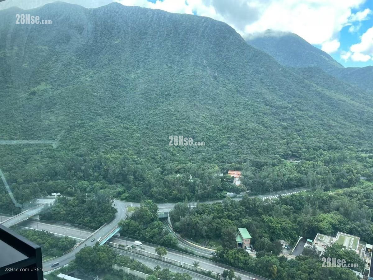 蓝天海岸 租盘 1 房 , 1 浴室 420 平方尺 蓝天海岸 租盘 1 房 , 1 浴室 420 平方尺