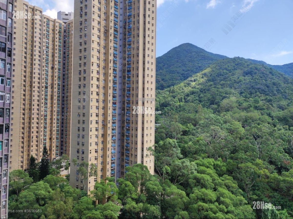 广林苑 售盘 376 平方尺 广林苑 售盘 376 平方尺