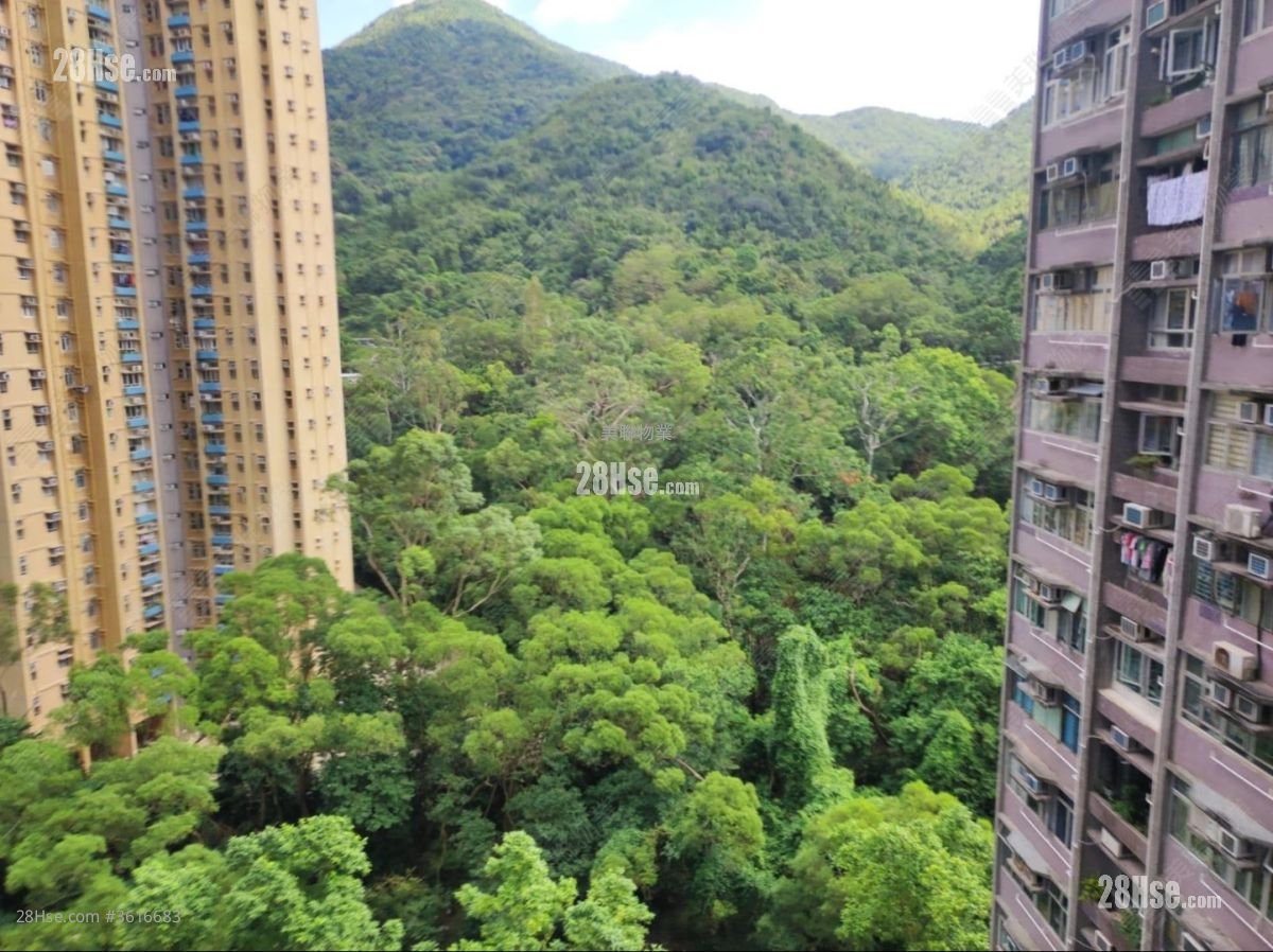 广林苑 售盘 376 平方尺 广林苑 售盘 376 平方尺