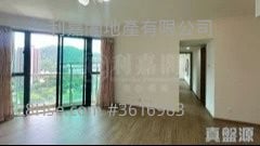 #景观开阳 #面积800馀尺