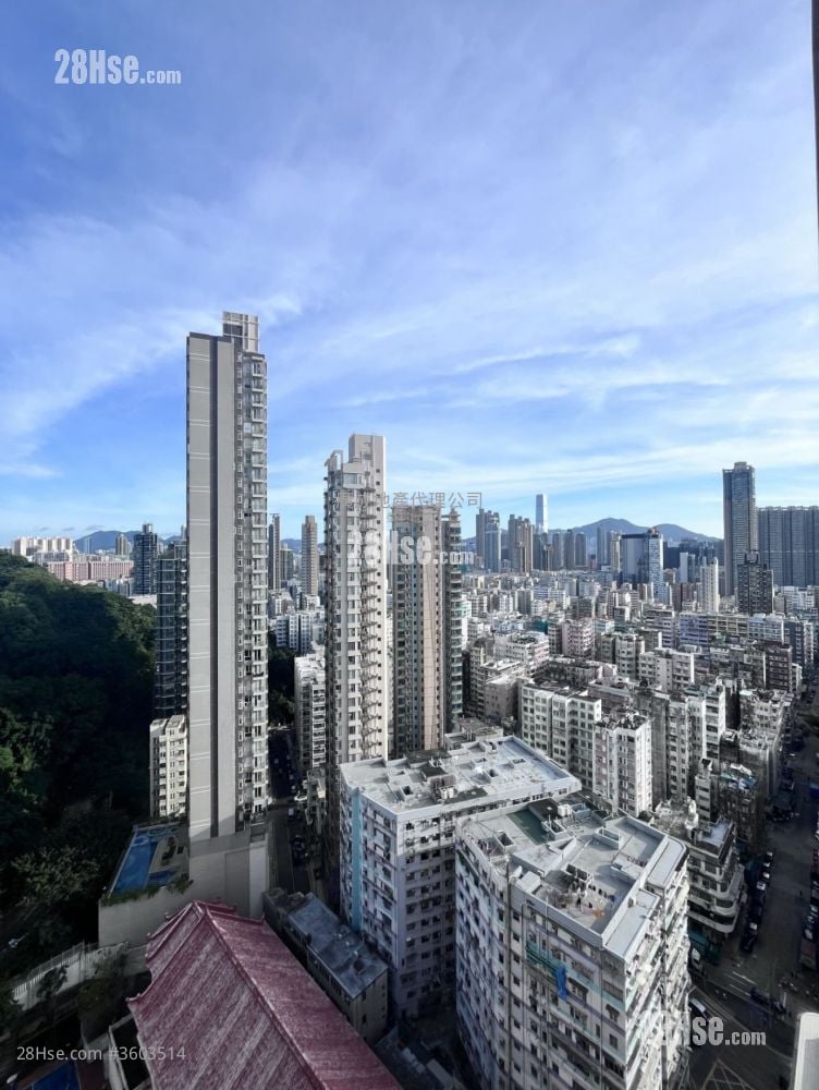 Belgravia Place 租盘 2 房 , 1 浴室 341 平方尺 Belgravia Place 租盘 2 房 , 1 浴室 341 平方尺