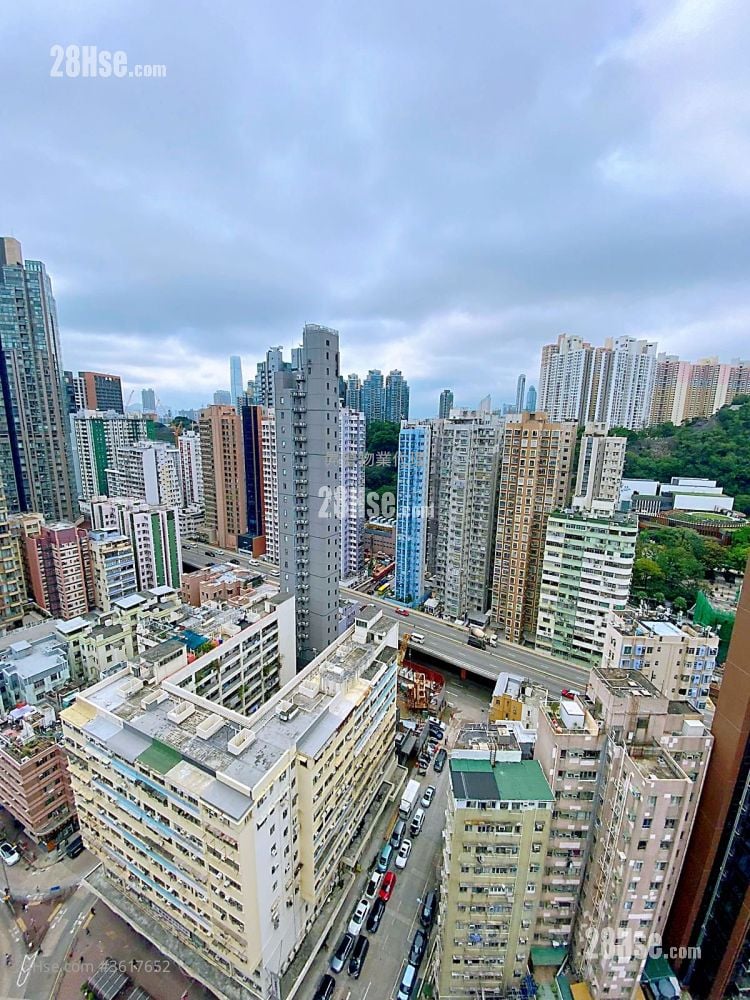 Viva Rental 2 Bedrooms , 1 Bathroom 487 ft² Viva Rental 2 Bedrooms , 1 Bathroom 487 ft²