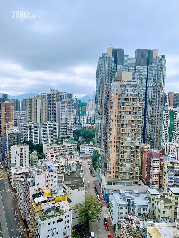 Viva Rental 2 Bedrooms , 1 Bathroom 487 ft² Viva Rental 2 Bedrooms , 1 Bathroom 487 ft²