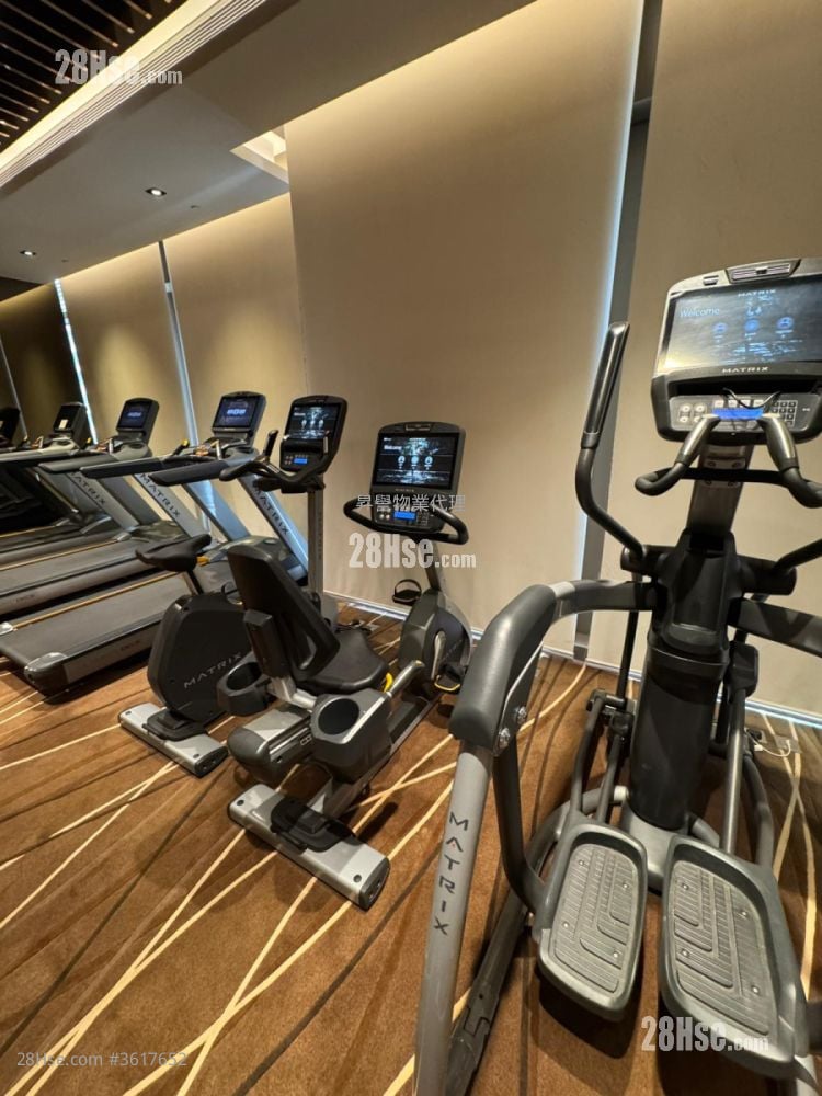 Viva Rental 2 Bedrooms , 1 Bathroom 487 ft² Viva Rental 2 Bedrooms , 1 Bathroom 487 ft²