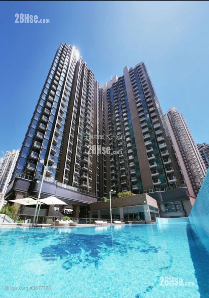 Belgravia Place 租盘 1 房 , 1 浴室 264 平方尺 Belgravia Place 租盘 1 房 , 1 浴室 264 平方尺