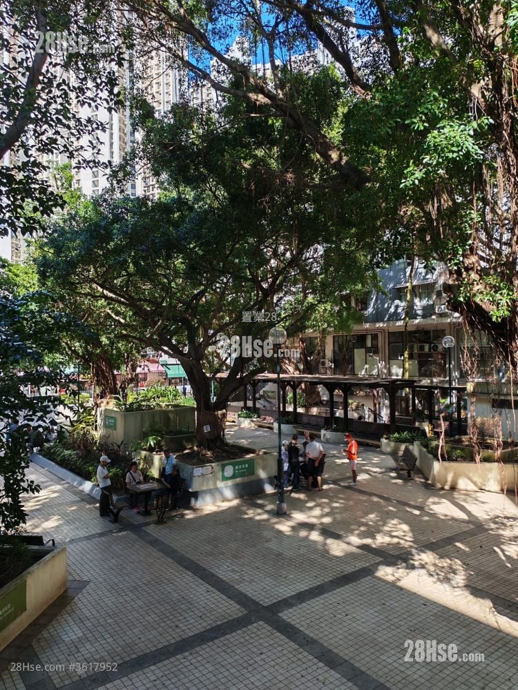 油塘中心 租盤 475 平方呎 油塘中心 租盤 475 平方呎