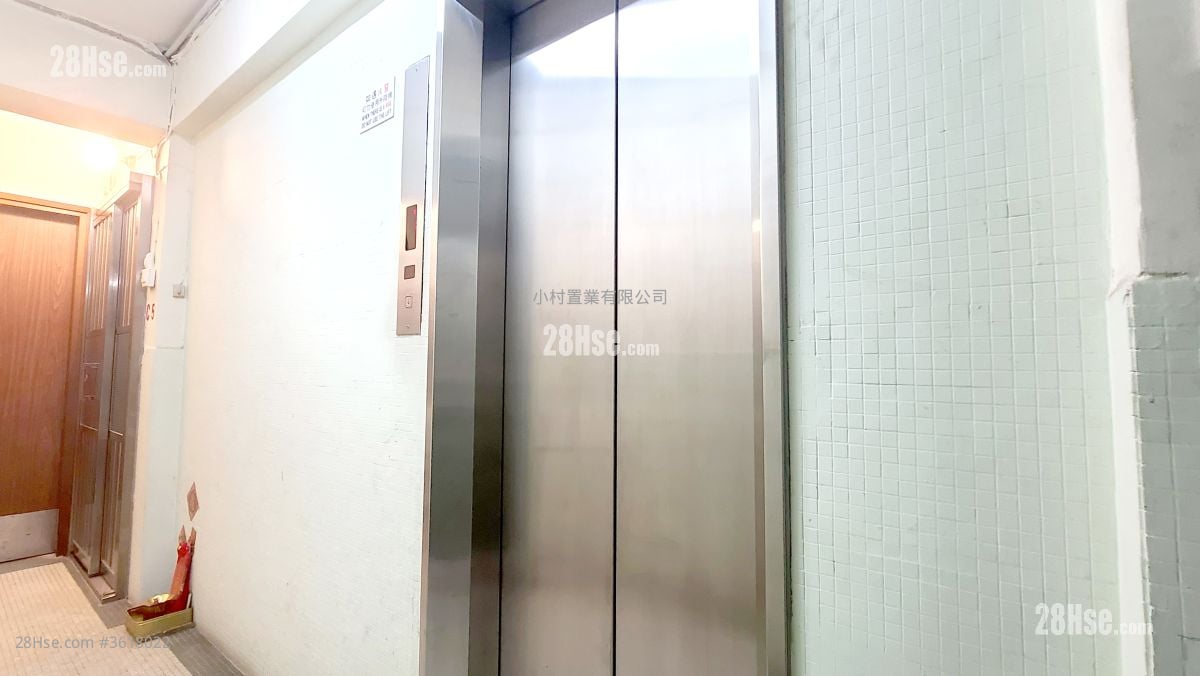 其它: Elevator 其它: Elevator
